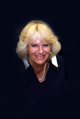 Commercial Portfolio image