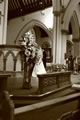 Wedding photo